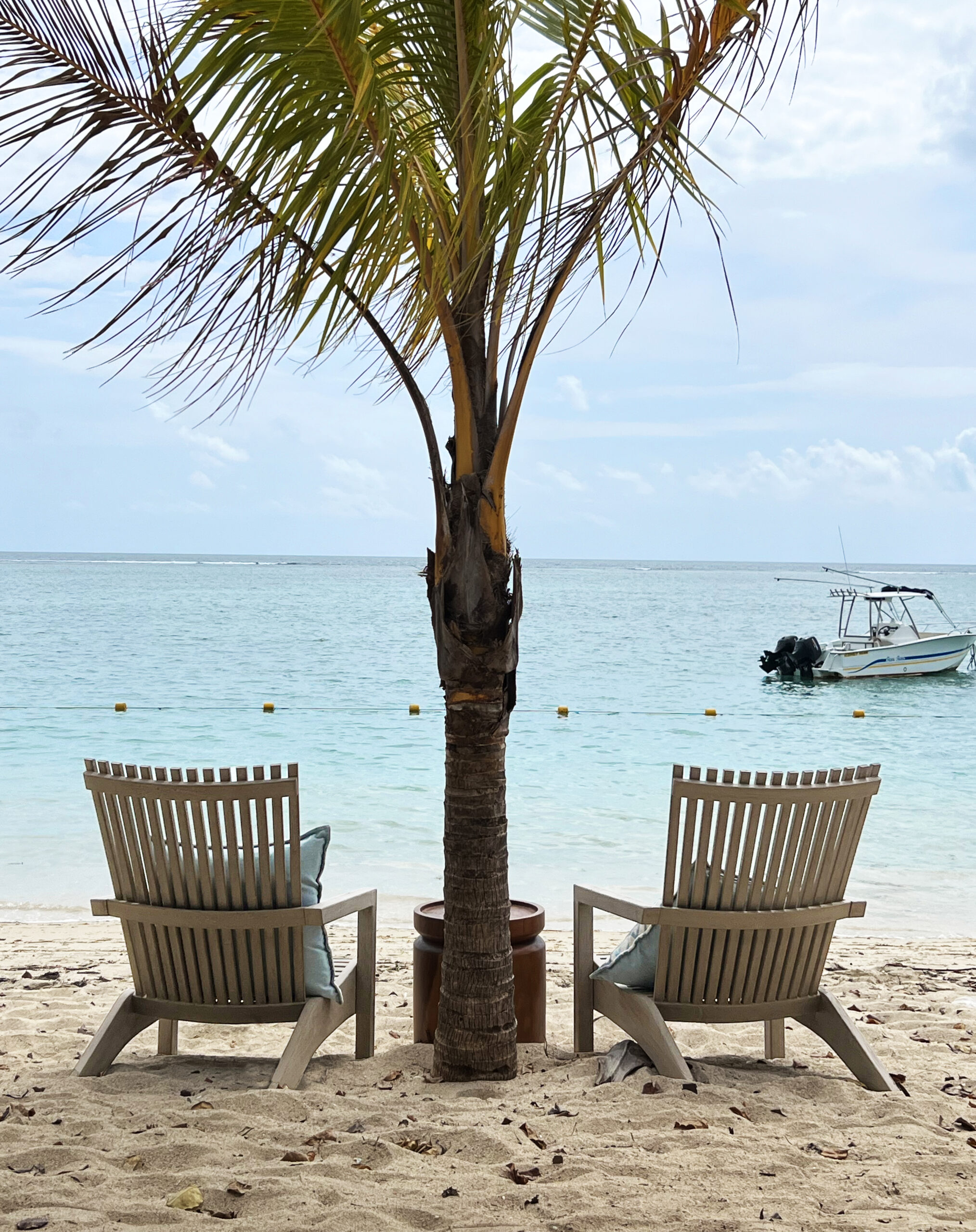 IMG_7915-copy-scaled